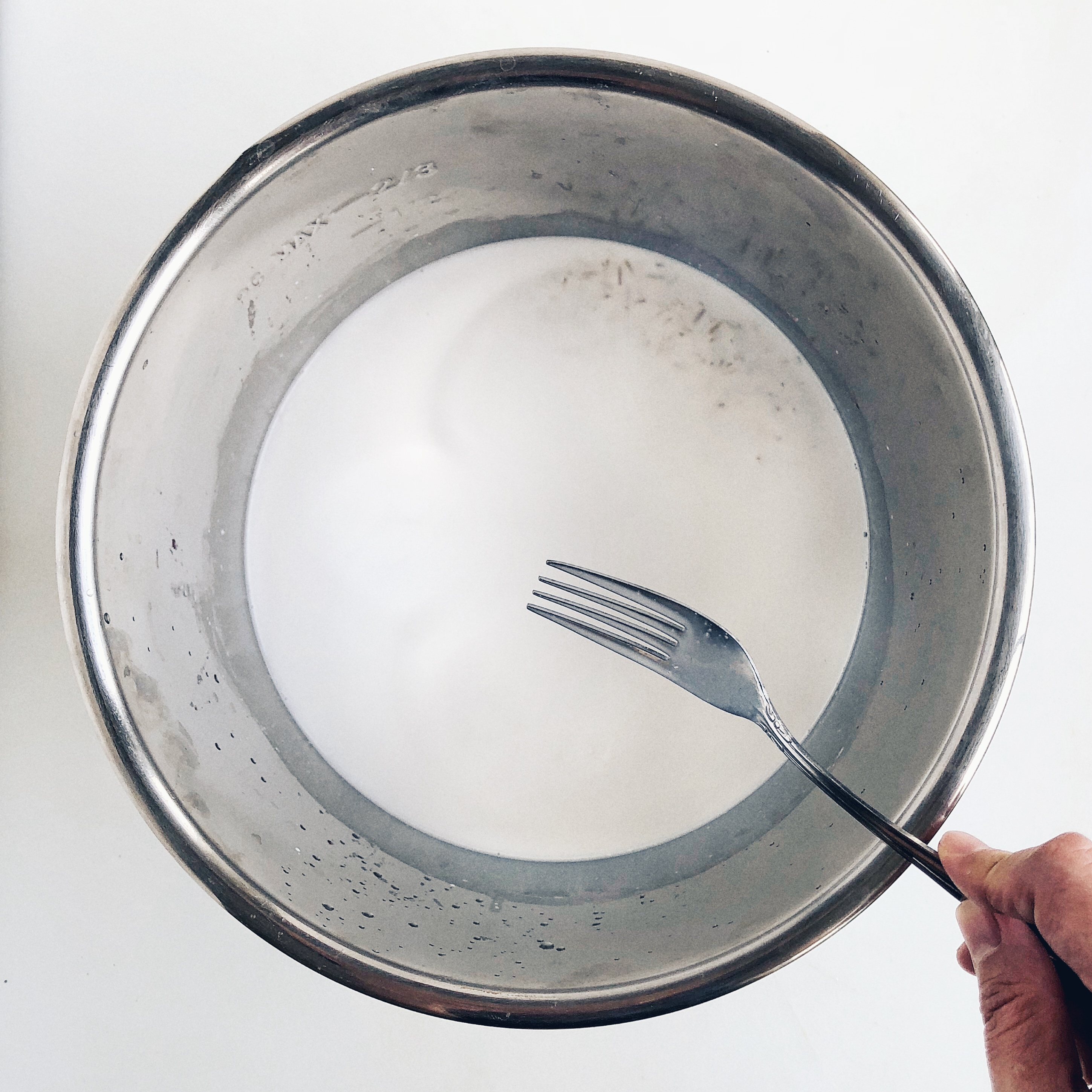 IP Coconut Rice | The Subversive Table