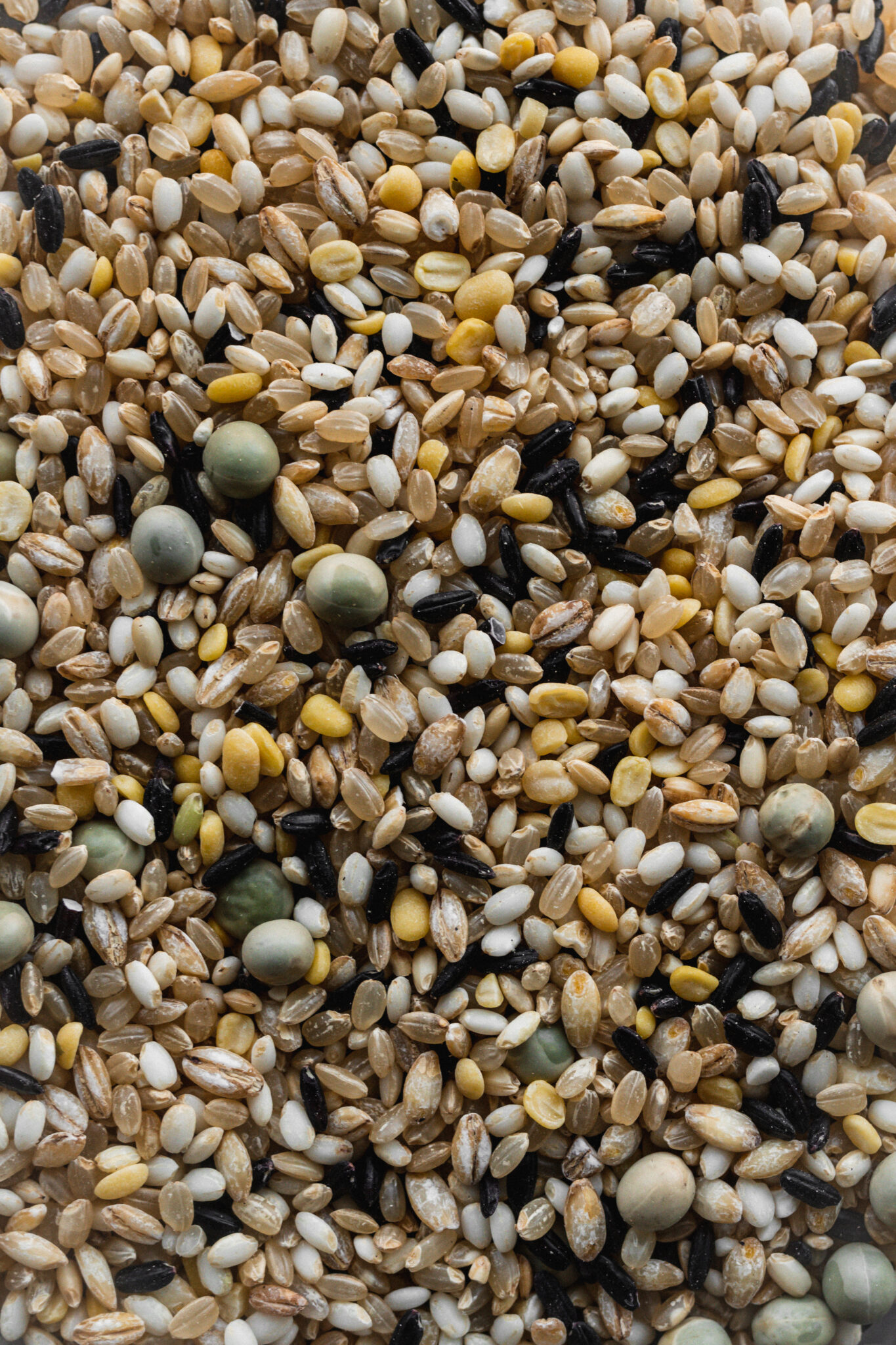 Easy Korean Purple Rice (Heukmi Bap) | The Subversive Table