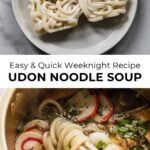 frozen udon noodles on a plate and udon noodle soup with chopsticks in gold pot