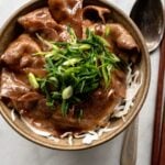 pork donburi with green onion garnish