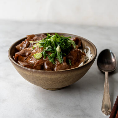 side view of pork donburi with green onion garnish