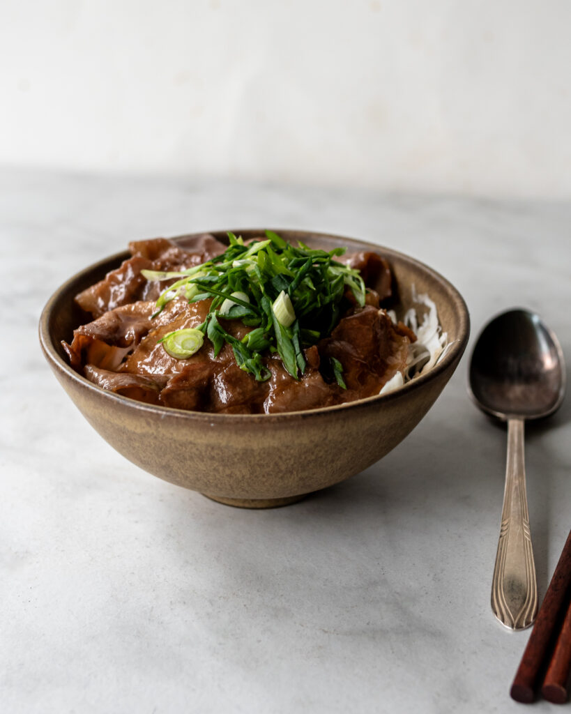 side view of pork donburi with green onion garnish